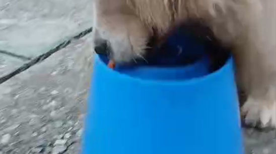 WhatsApp Video 2026-03-19 at 16.35.27